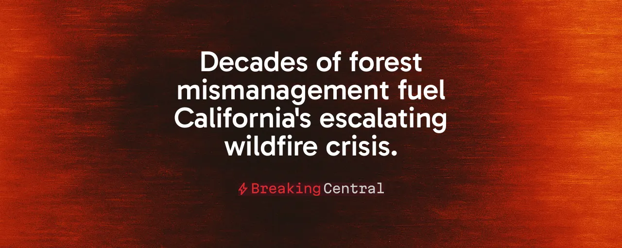 Decades of forest mismanagement fuel California's escalating wildfire crisis.